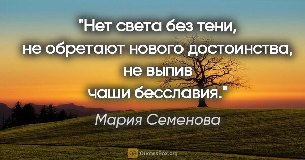 Мария Семенова цитата: "Нет света

без тени, не обретают нового достоинства, не выпив..."