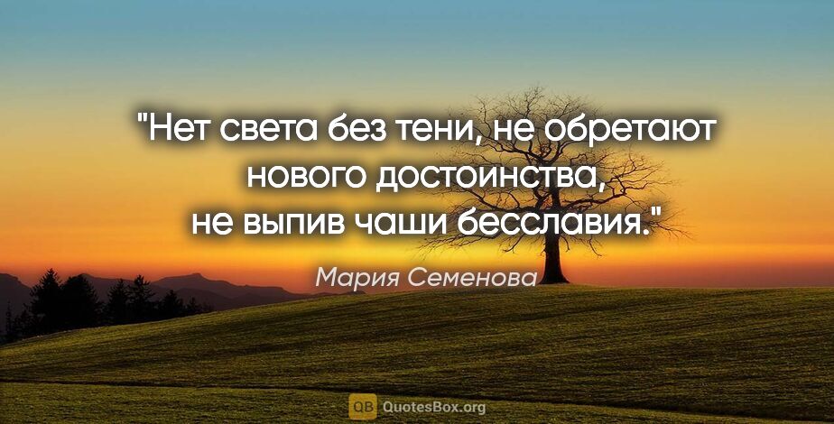 Мария Семенова цитата: "Нет света

без тени, не обретают нового достоинства, не выпив..."