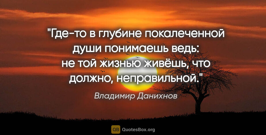 Владимир Данихнов цитата: "Где-то в глубине покалеченной души понимаешь ведь: не той..."