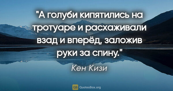 Кен Кизи цитата: "А голуби кипятились на тротуаре и расхаживали взад и вперёд,..."