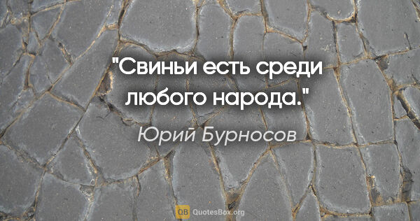 Юрий Бурносов цитата: "Свиньи есть среди любого народа."