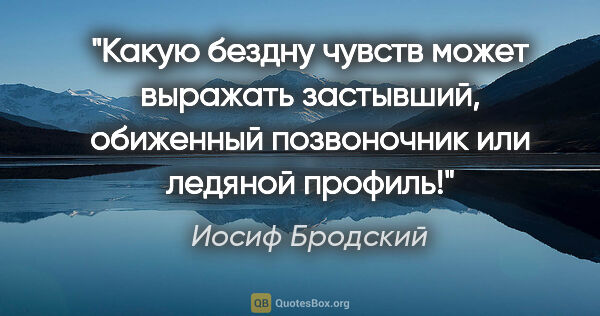 Иосиф Бродский цитата: "Какую бездну чувств может выражать застывший, обиженный..."