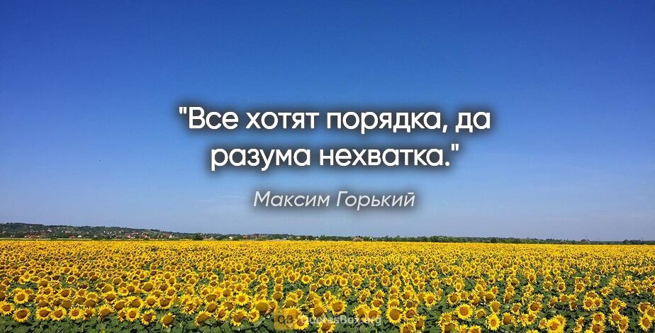 Максим Горький цитата: "«Все хотят порядка, да разума нехватка.»"