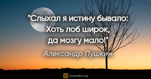 Александр Пушкин цитата: "«Слыхал я истину бывало:

Хоть лоб широк, да мозгу мало!»"