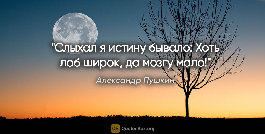 Александр Пушкин цитата: "«Слыхал я истину бывало:

Хоть лоб широк, да мозгу мало!»"