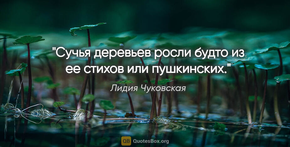 Лидия Чуковская цитата: "Сучья деревьев росли будто из ее стихов или пушкинских."