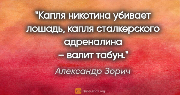 Александр Зорич цитата: "Капля никотина убивает лошадь, капля сталкерского адреналина –..."