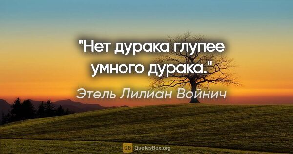 Этель Лилиан Войнич цитата: "Нет дурака глупее умного дурака."