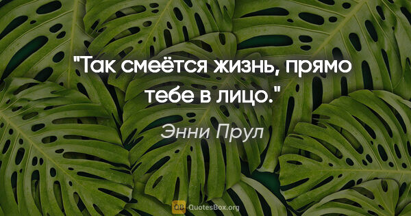 Энни Прул цитата: "Так смеётся жизнь, прямо тебе в лицо."