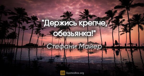 Стефани Майер цитата: "«Держись крепче, обезьянка!»"