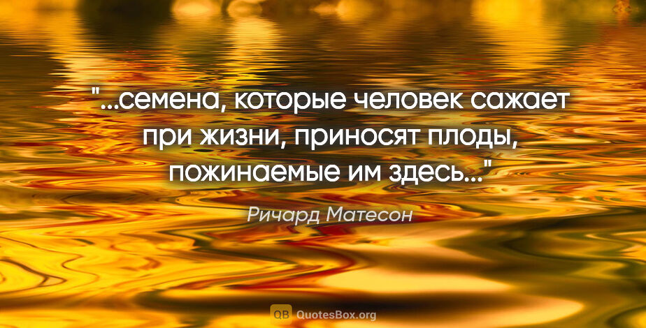 Ричард Матесон цитата: "«...семена, которые человек сажает при жизни, приносят плоды,..."