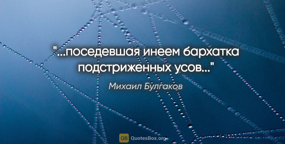 Михаил Булгаков цитата: "...поседевшая инеем бархатка подстриженных усов..."