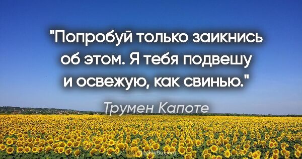 Трумен Капоте цитата: "«Попробуй только заикнись об этом. Я тебя подвешу и освежую,..."