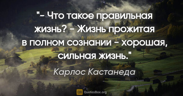 Карлос Кастанеда цитата: "- Что такое правильная жизнь?

- Жизнь прожитая в полном..."