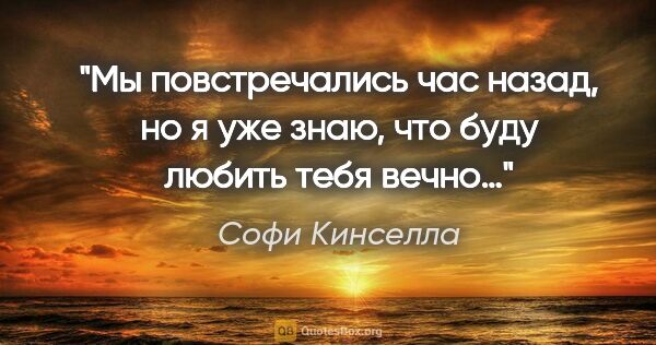 Софи Кинселла цитата: "«Мы повстречались час назад, но я уже знаю, что буду любить..."