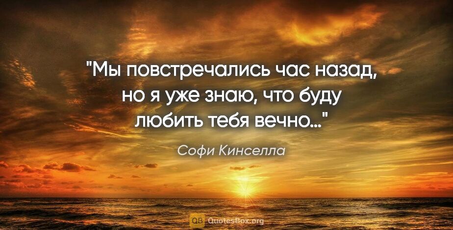 Софи Кинселла цитата: "«Мы повстречались час назад, но я уже знаю, что буду любить..."