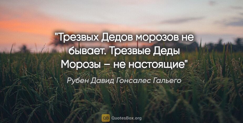 Рубен Давид Гонсалес Гальего цитата: "«Трезвых Дедов морозов не бывает. Трезвые Деды Морозы – не..."