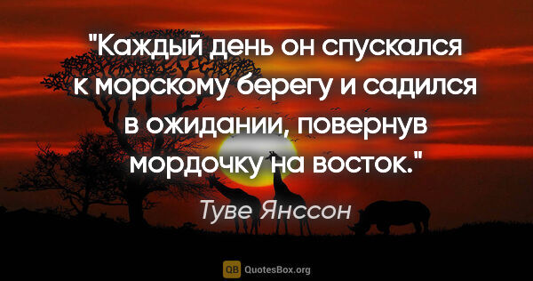 Туве Янссон цитата: "Каждый день он спускался к морскому берегу и садился в..."