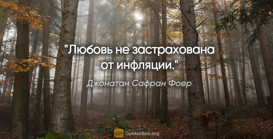 Джонатан Сафран Фоер цитата: "Любовь не застрахована от инфляции."