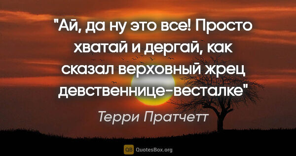 Терри Пратчетт цитата: "Ай, да ну это все! Просто хватай и дергай, как сказал..."