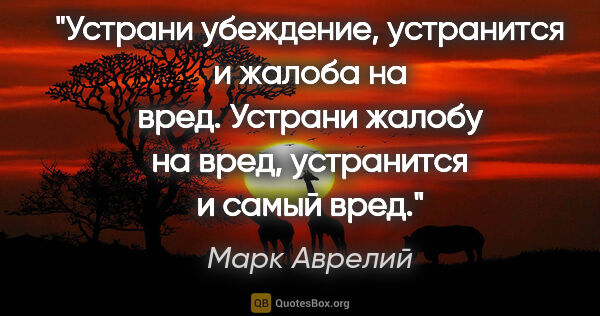 Марк Аврелий цитата: "Устрани убеждение, устранится и жалоба на вред. Устрани жалобу..."