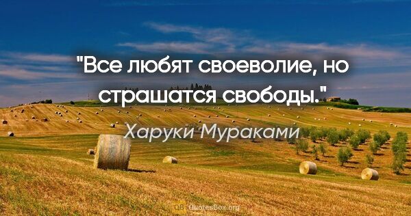 Харуки Мураками цитата: "Все любят своеволие, но страшатся свободы."