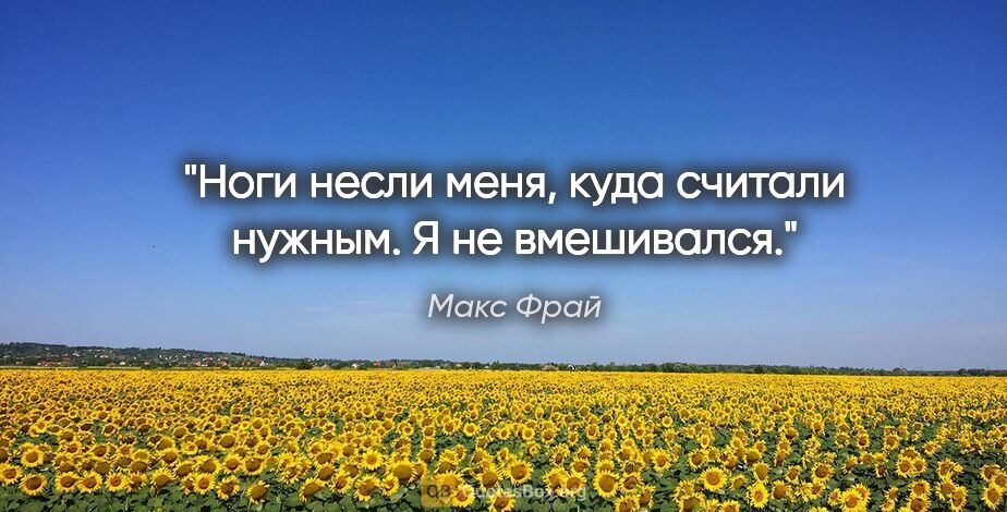 Макс Фрай цитата: "Ноги несли меня, куда считали нужным. Я не вмешивался."