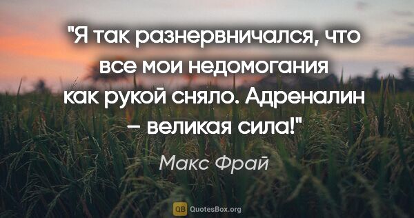 Макс Фрай цитата: "Я так разнервничался, что все мои недомогания как рукой сняло...."