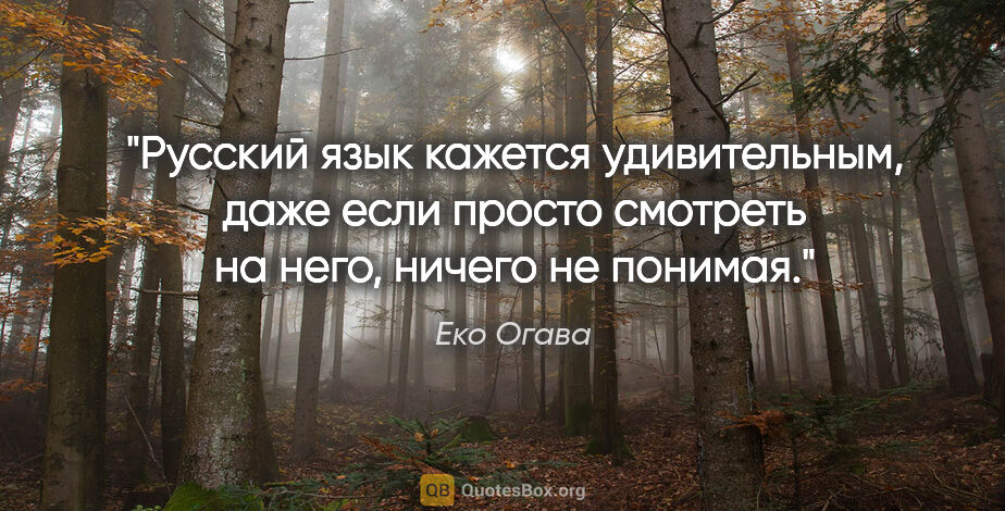 Еко Огава цитата: "Русский язык кажется удивительным, даже если просто смотреть..."