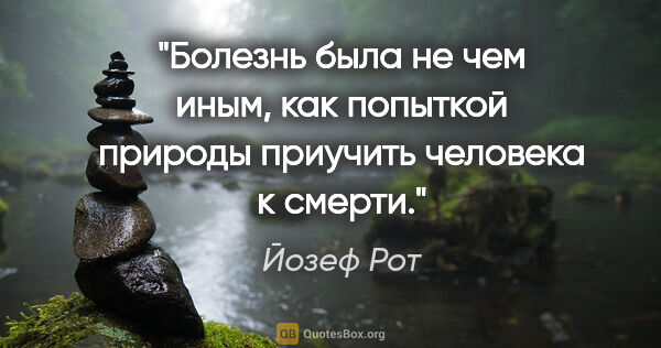 Йозеф Рот цитата: "Болезнь была не чем иным, как попыткой природы приучить..."