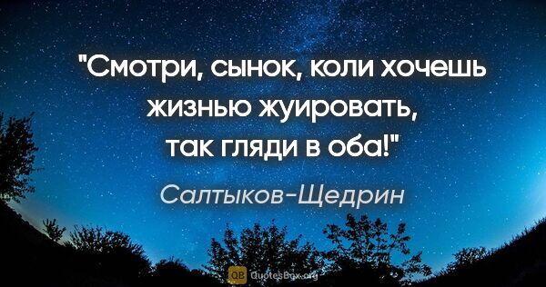 Салтыков-Щедрин цитата: "Смотри, сынок, коли хочешь жизнью жуировать, так гляди в оба!"