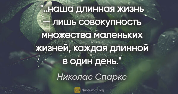 Николас Спаркс цитата: "наша длинная жизнь — лишь совокупность множества маленьких..."