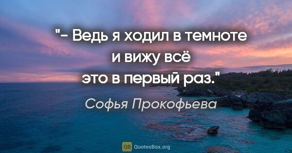 Софья Прокофьева цитата: "- Ведь я ходил в темноте и вижу всё это в первый раз."