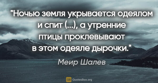 Меир Шалев цитата: "Ночью земля укрывается одеялом и спит (...), а утренние птицы..."