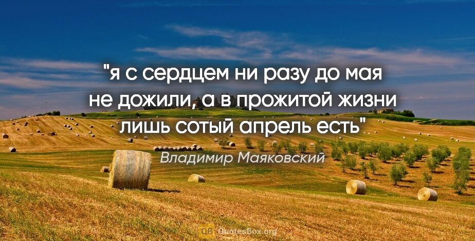 Владимир Маяковский цитата: "я с сердцем ни разу до мая не дожили,

а в прожитой..."