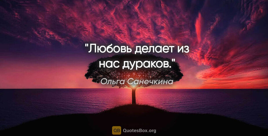Ольга Санечкина цитата: "Любовь делает из нас

дураков."