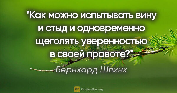 Бернхард Шлинк цитата: "Как можно испытывать вину и стыд и одновременно щеголять..."