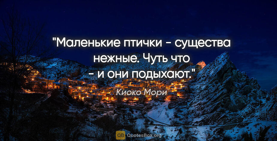 Киоко Мори цитата: "Маленькие птички - существа нежные. Чуть что - и они подыхают."