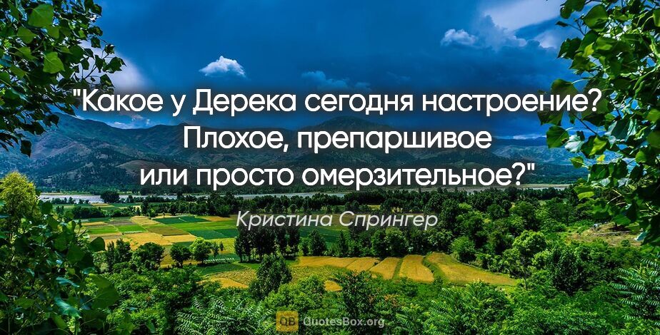 Кристина Спрингер цитата: "Какое у Дерека сегодня настроение? Плохое, препаршивое или..."