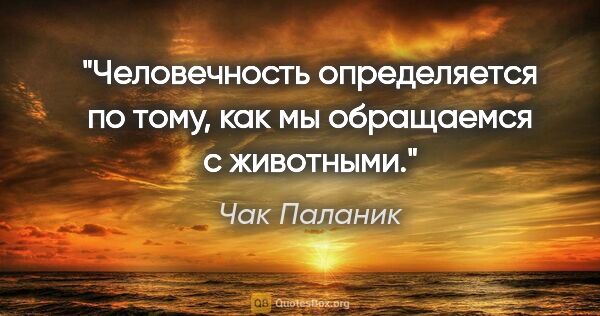 Чак Паланик цитата: ""Человечность определяется по тому, как мы обращаемся с..."