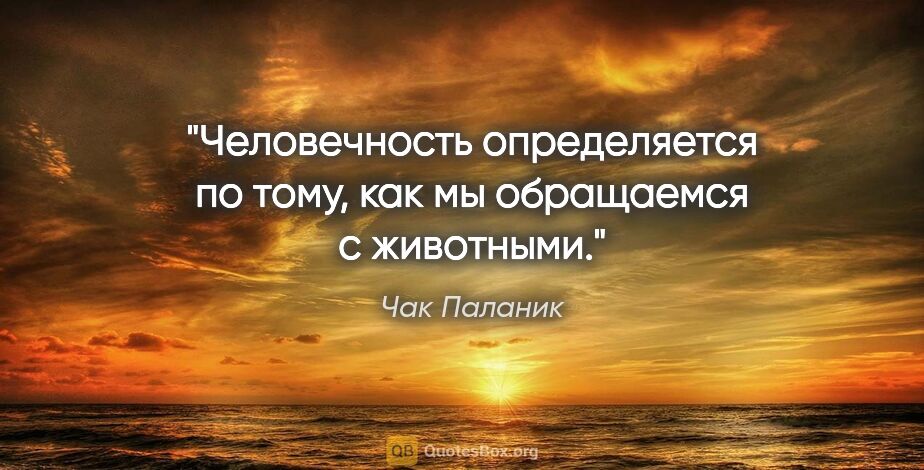 Чак Паланик цитата: ""Человечность определяется по тому, как мы обращаемся с..."