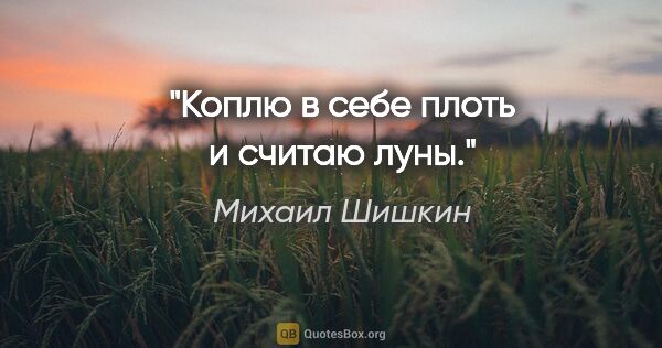 Михаил Шишкин цитата: "Коплю в себе плоть и считаю луны."