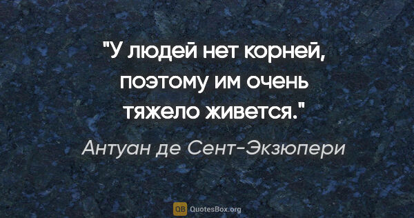 Антуан де Сент-Экзюпери цитата: "У людей нет корней, поэтому им очень тяжело живется."