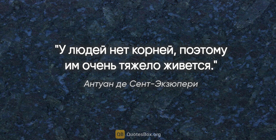 Антуан де Сент-Экзюпери цитата: "У людей нет корней, поэтому им очень тяжело живется."