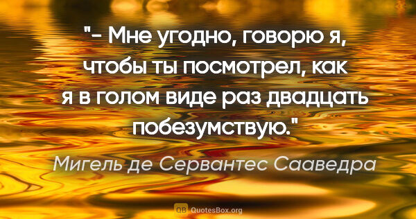 Мигель де Сервантес Сааведра цитата: "- Мне угодно, говорю я, чтобы ты посмотрел, как я в голом виде..."