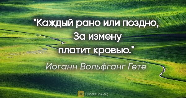 Иоганн Вольфганг Гете цитата: "Каждый рано или поздно, 

За измену платит кровью."