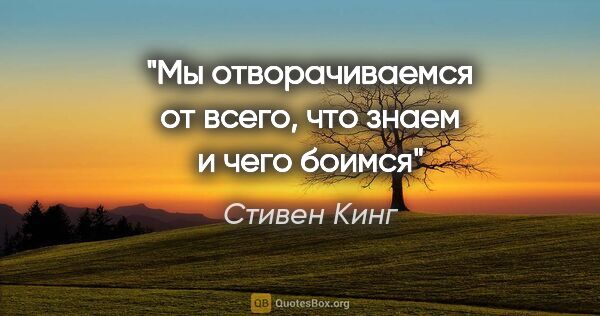 Стивен Кинг цитата: ""Мы отворачиваемся от всего, что знаем и чего боимся""