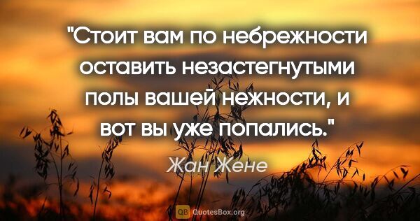 Жан Жене цитата: "Стоит вам по небрежности оставить незастегнутыми полы вашей..."