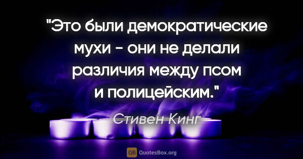 Стивен Кинг цитата: "Это были демократические мухи - они не делали различия между..."