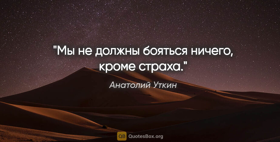 Анатолий Уткин цитата: "Мы не должны бояться ничего, кроме страха."
